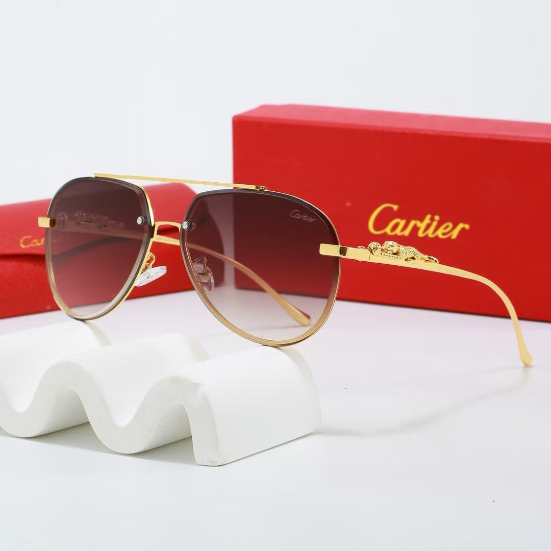 Sunglasses/model:2528