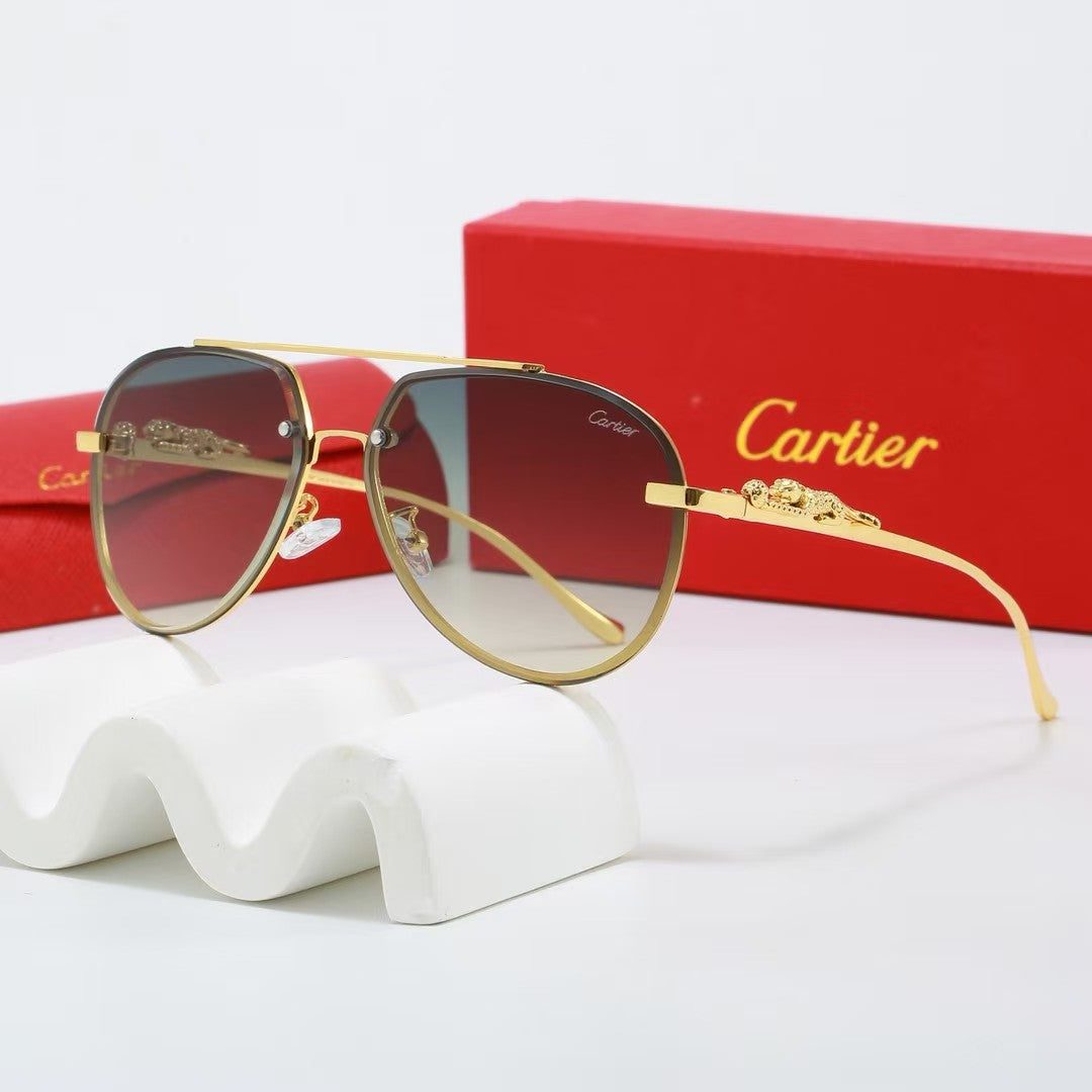 Sunglasses/model:2528