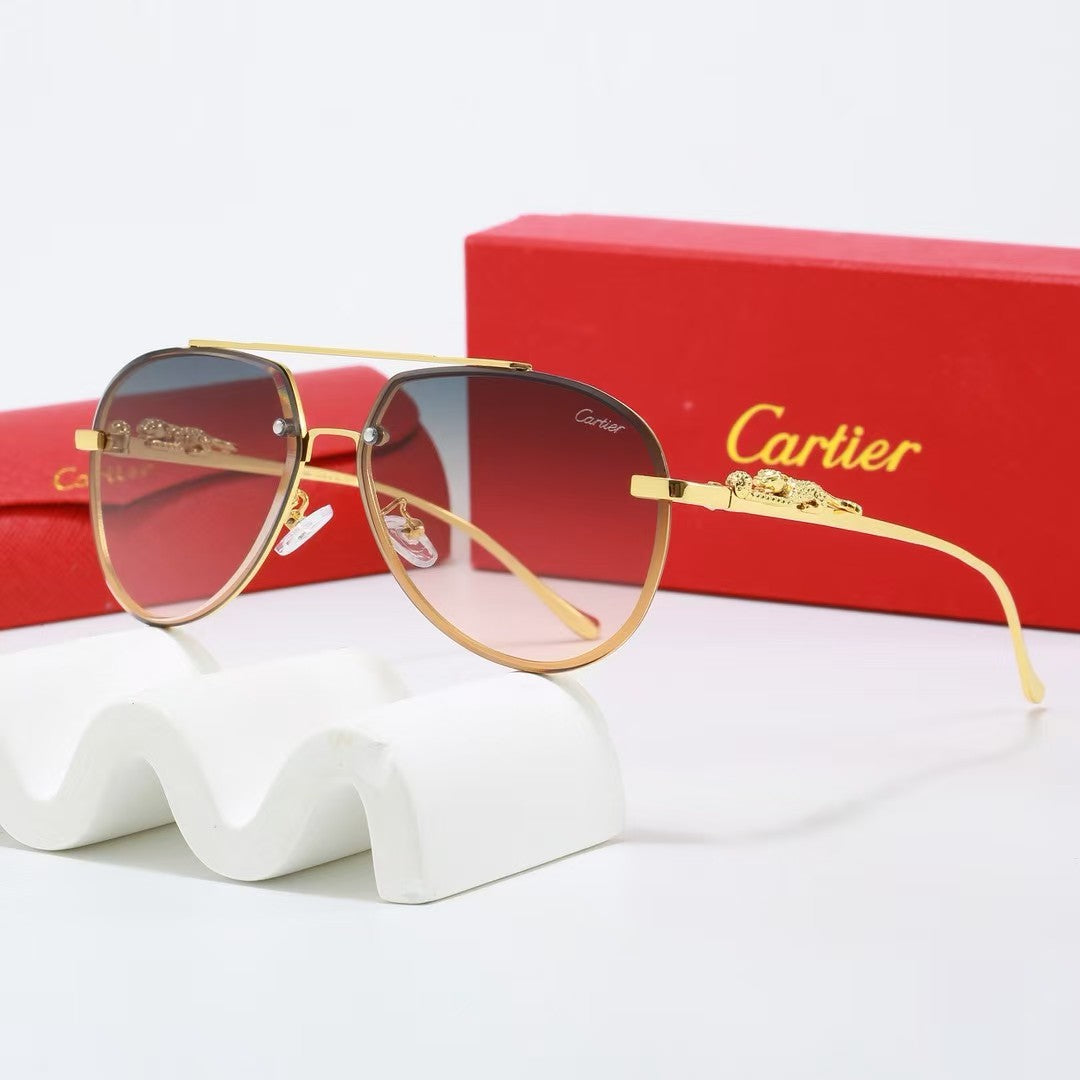 Sunglasses/model:2528