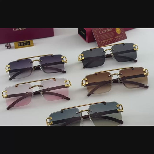 Sunglasses/model:8878