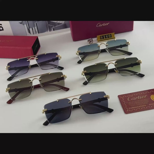 Sunglasses/model:8160