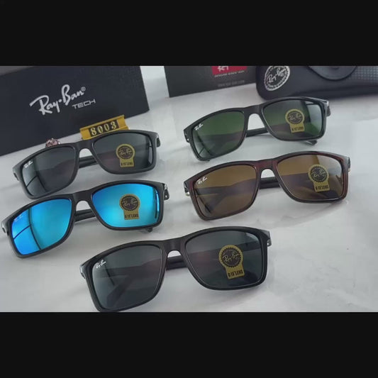 sunglasses / model:8003