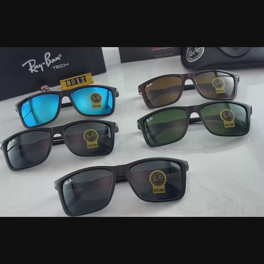 sunglasses / model:8012